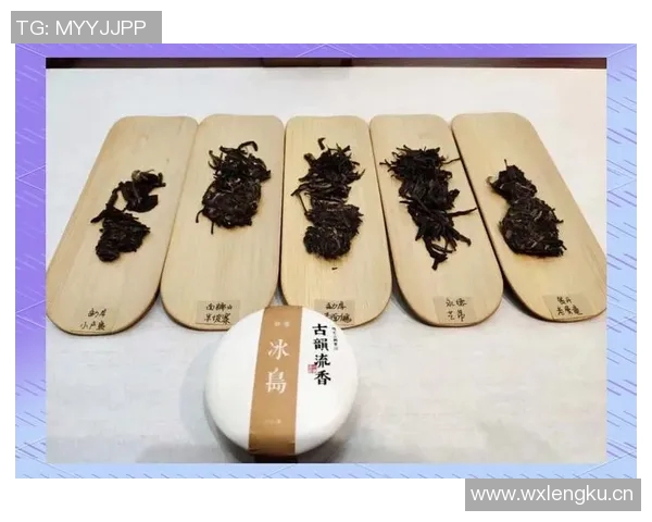 茶叶文化的传承与创新探析：从古至今的茶道演变与现代茶叶产业发展