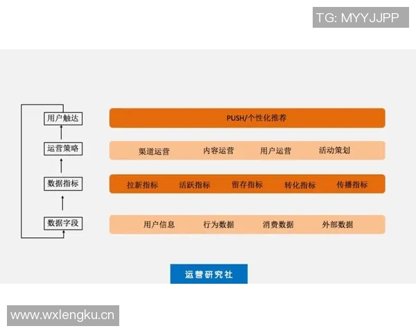 北京排球队运营分析：成功经验与失误教训的深度剖析